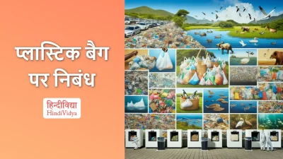 प्लास्टिक बैग पर निबंध – Essay on Plastic Bags in Hindi